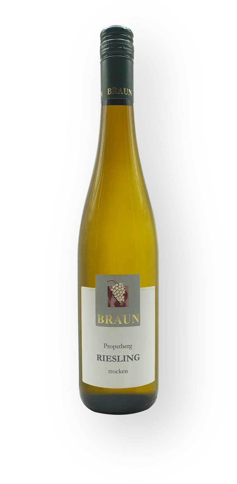 2020 Markelsheimer Propstberg Riesling trocken